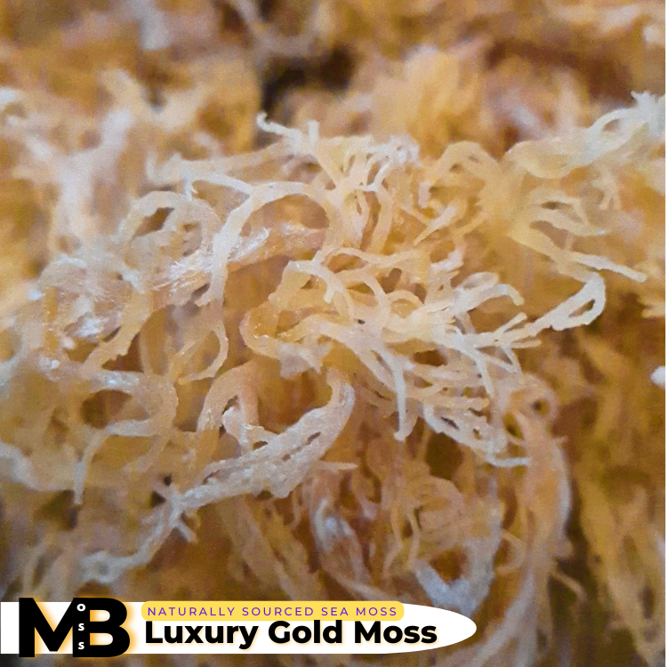 Luxury Gold Sea Moss